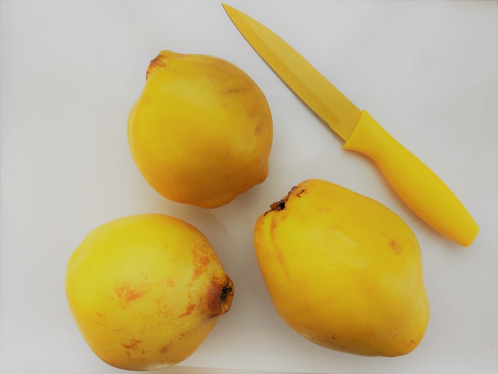 Quince and Yellow Knife