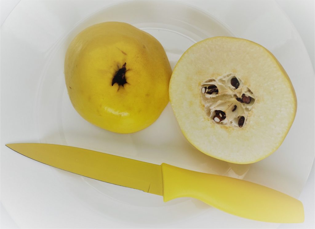 Quince and Yellow Knife