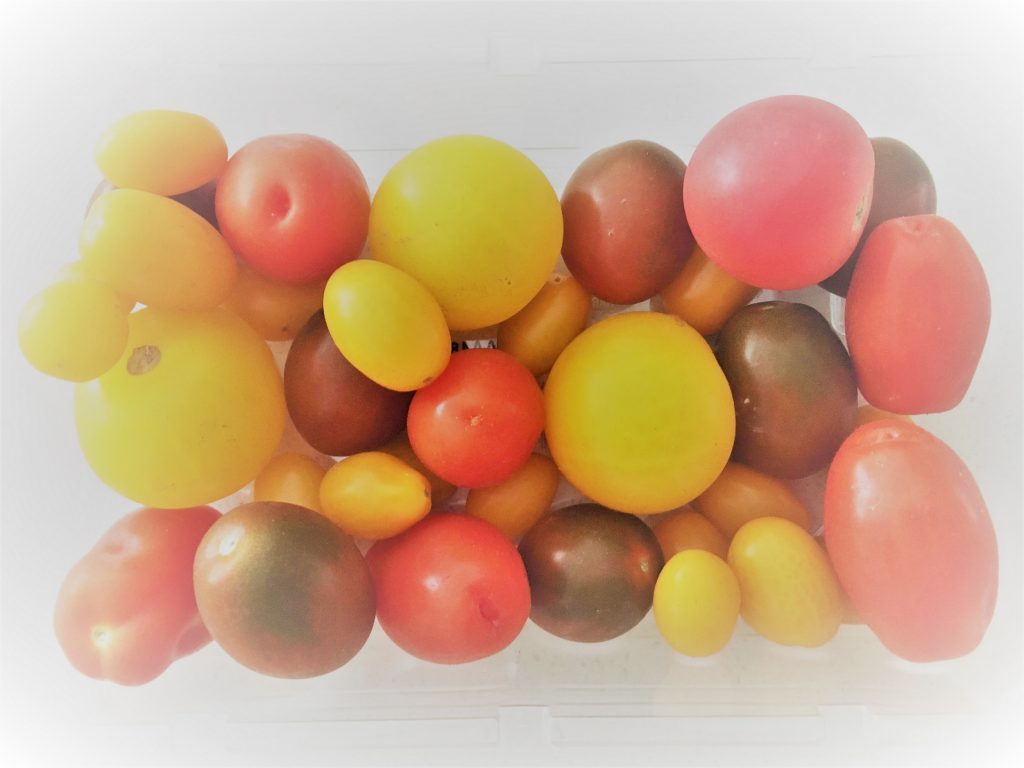 Assorted Tomatoes