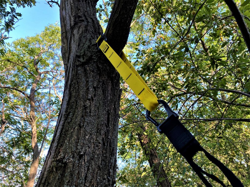 TRX hooked up to a tree