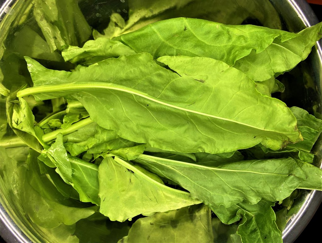 sorrel leaves